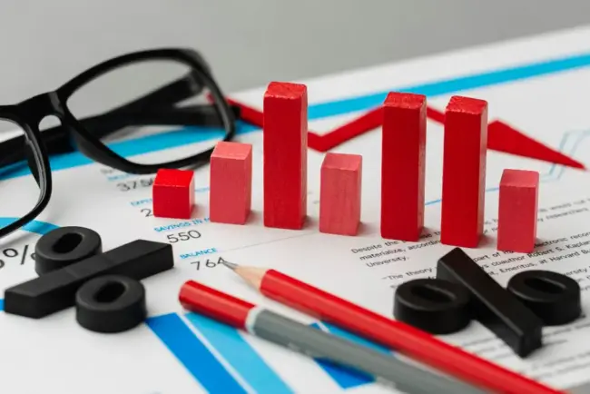 rentabilidad project management
